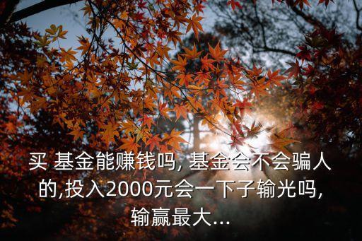 買 基金能賺錢嗎, 基金會不會騙人的,投入2000元會一下子輸光嗎,輸贏最大...