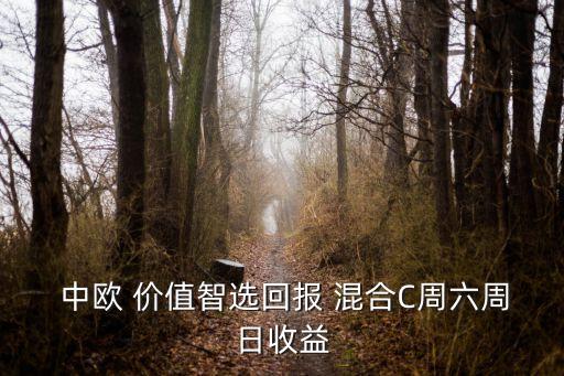  中歐 價值智選回報 混合C周六周日收益