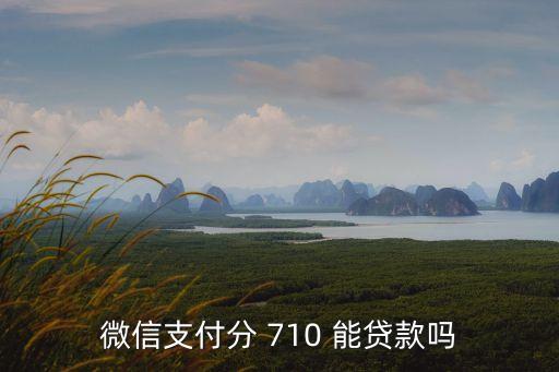芝麻分710能貸多少錢
