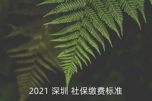 2021 深圳 社保繳費(fèi)標(biāo)準(zhǔn)