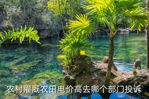 農(nóng)村灌溉農(nóng)田電價高去哪個部門投訴