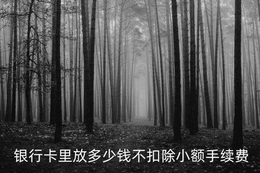  銀行卡里放多少錢不扣除小額手續(xù)費