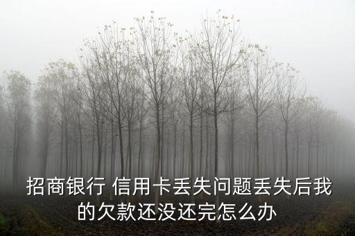  招商銀行 信用卡丟失問題丟失后我的欠款還沒還完怎么辦