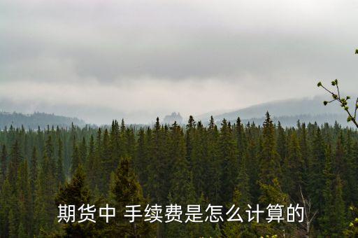 期貨交易每單手續(xù)費多少,玻璃期貨交易手續(xù)費多少?