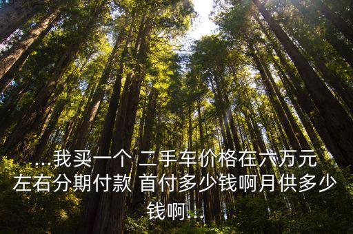 ...我買一個(gè) 二手車價(jià)格在六萬(wàn)元左右分期付款 首付多少錢啊月供多少錢啊...