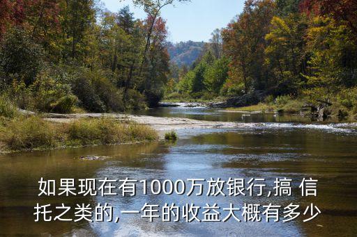 如果現(xiàn)在有1000萬放銀行,搞 信托之類的,一年的收益大概有多少