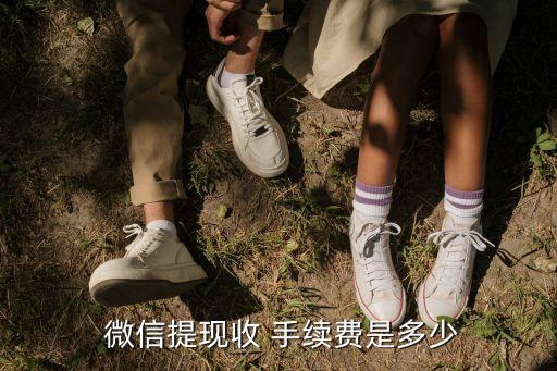  微信提現(xiàn)收 手續(xù)費(fèi)是多少