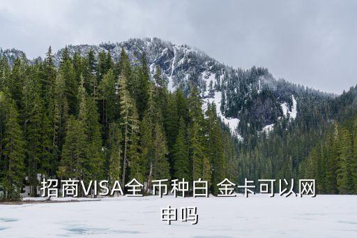 visa全幣種金卡額度是多少