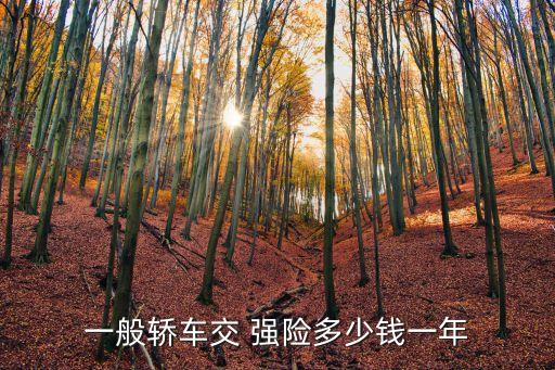 一般轎車交 強(qiáng)險(xiǎn)多少錢一年