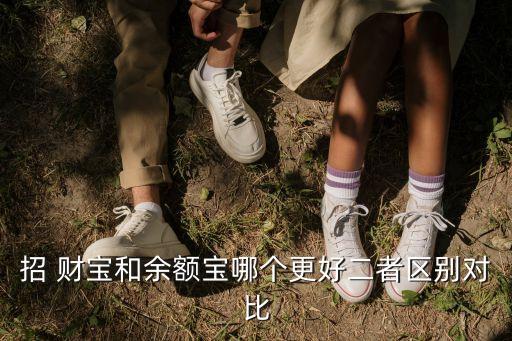 招財(cái)寶有多少用戶