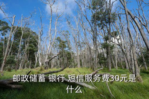 郵政儲(chǔ)蓄 銀行 短信服務(wù)費(fèi)30元是什么