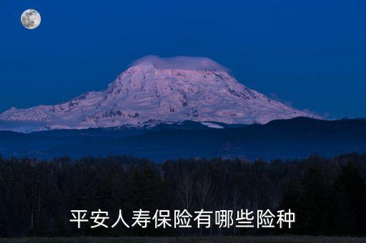 平安人壽保險有哪些險種