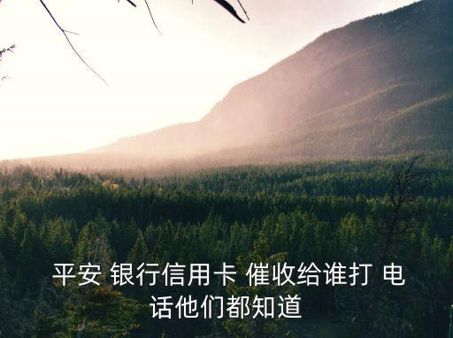 深圳平安銀行催收電話是多少,廣東深圳平安銀行電話
