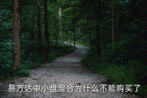 易方達中小盤混合為什么不能購買了