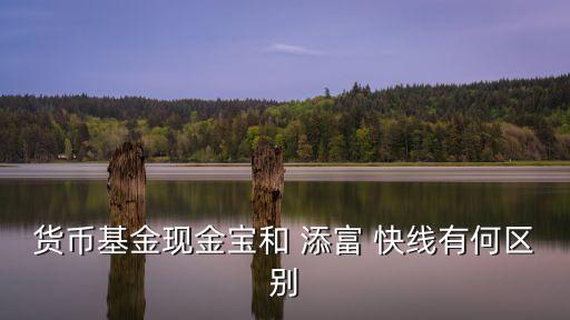 添富快線收益率多少,519888添富快線收益率