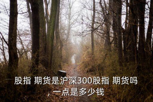 期貨滬鋅一點多少錢