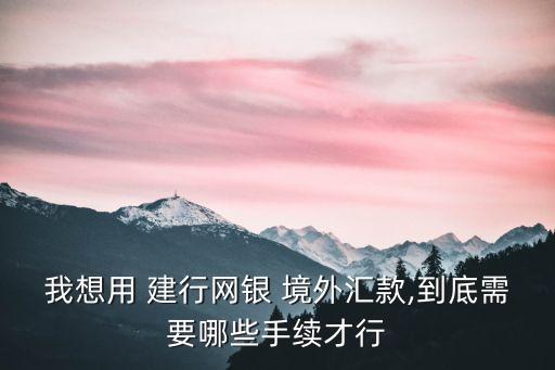 我想用 建行網銀 境外匯款,到底需要哪些手續(xù)才行