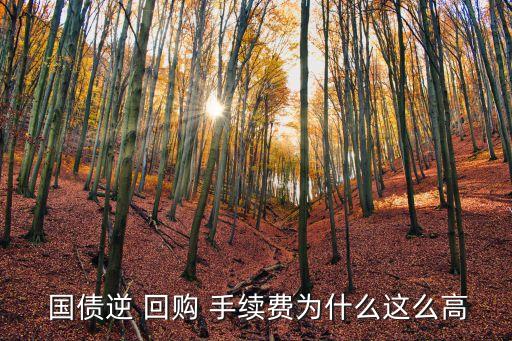  國債逆 回購 手續(xù)費為什么這么高
