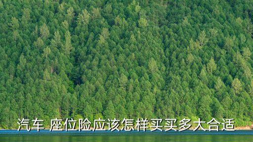 乘客座位責(zé)任險(xiǎn)最高買多少,司機(jī)乘客責(zé)任險(xiǎn)是不是座位險(xiǎn)