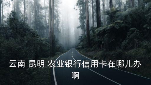 云南 昆明 農(nóng)業(yè)銀行信用卡在哪兒辦啊