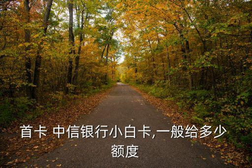 首卡 中信銀行小白卡,一般給多少 額度