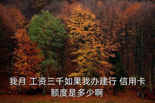 我月 工資三千如果我辦建行 信用卡額度是多少啊