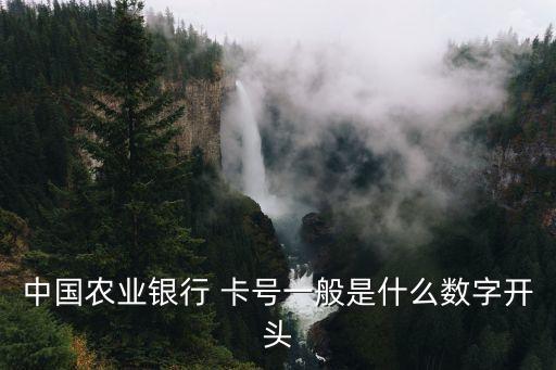 農(nóng)行卡號(hào)前四位是多少錢