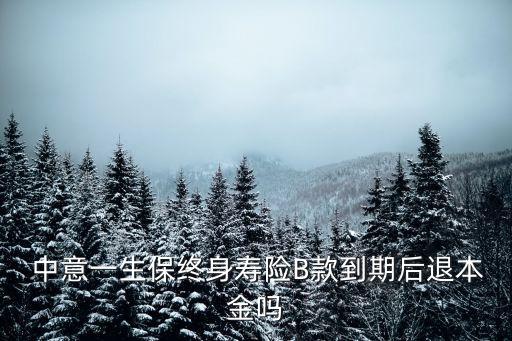  中意一生保終身壽險B款到期后退本金嗎