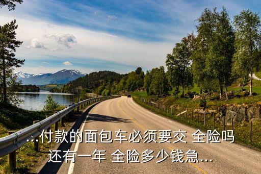 分期全險(xiǎn)多少,分期買車可以不買全險(xiǎn)嗎