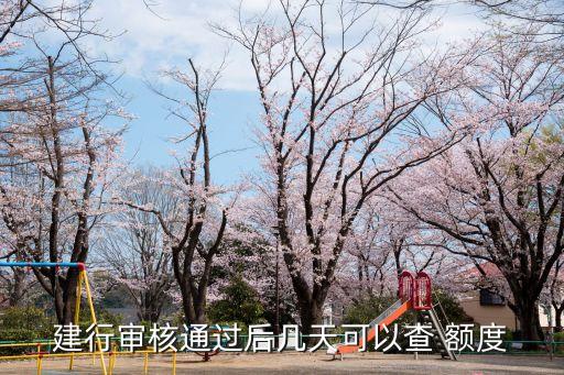 建行審核通過后幾天可以查 額度