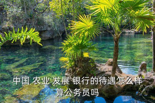 中國(guó) 農(nóng)業(yè) 發(fā)展 銀行的待遇怎么樣算公務(wù)員嗎