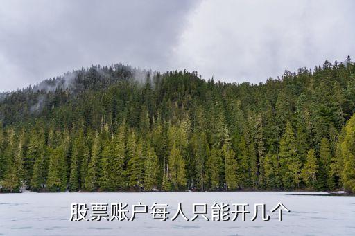  股票賬戶每人只能開(kāi)幾個(gè)