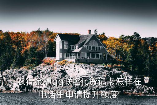  農(nóng)行金穗qq聯(lián)名ic貸記卡怎樣在電話里申請?zhí)嵘~度
