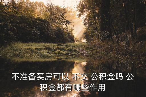 多少單位不交公積金貸款,公積金不交了還能繼續(xù)貸款嗎