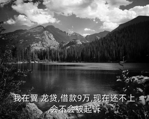 我在翼 龍貸,借款9萬(wàn),現(xiàn)在還不上,會(huì)不會(huì)被起訴