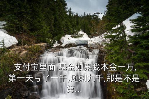 支付寶基金輸多少,玩支付寶基金輸了幾萬