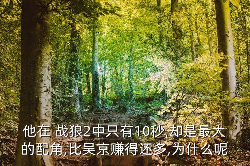 他在 戰(zhàn)狼2中只有10秒,卻是最大的配角,比吳京賺得還多,為什么呢