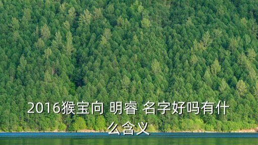 明睿名字多少分,明睿是男孩還是女孩名字