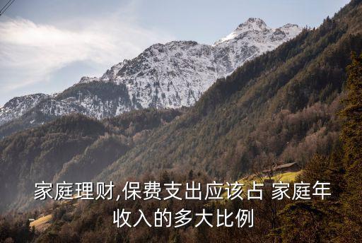 家庭理財,保費支出應(yīng)該占 家庭年 收入的多大比例