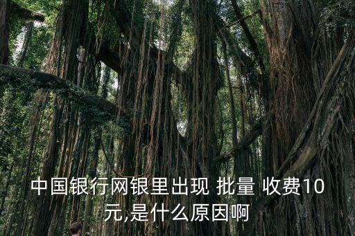 中國(guó)銀行網(wǎng)銀里出現(xiàn) 批量 收費(fèi)10元,是什么原因啊