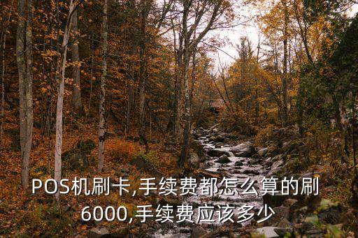 POS機(jī)刷卡,手續(xù)費(fèi)都怎么算的刷 6000,手續(xù)費(fèi)應(yīng)該多少