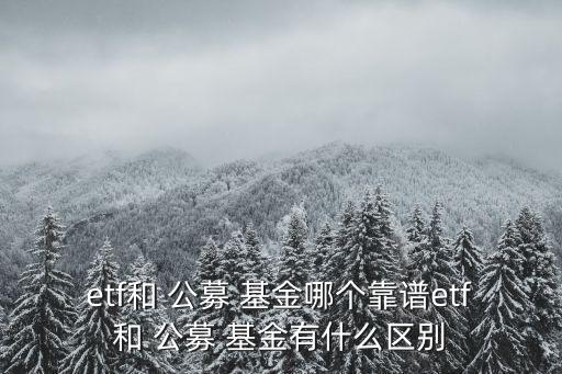 etf和 公募 基金哪個靠譜etf和 公募 基金有什么區(qū)別