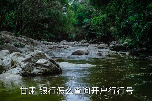  甘肅 銀行怎么查詢開戶行行號