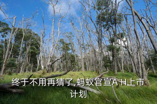 終于不用再猜了,螞蟻官宣A H上市計(jì)劃