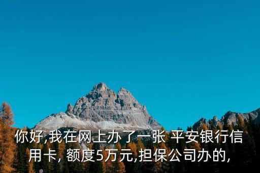 平安鉆石卡額度多少錢,平安好貸額度一般多少錢