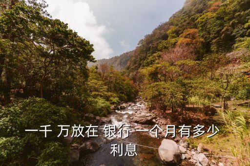 1000萬放銀行一個(gè)月利息多少,9萬放銀行一個(gè)月多少