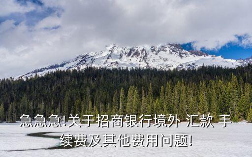 招行網(wǎng)銀國際匯款手續(xù)費(fèi)多少錢