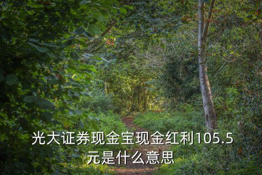 光大優(yōu)勢共分紅多少