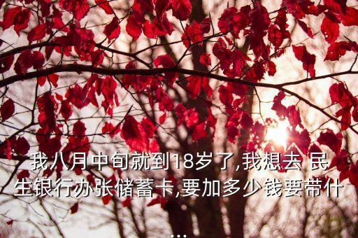 我八月中旬就到18歲了,我想去 民生銀行辦張儲蓄卡,要加多少錢要帶什...