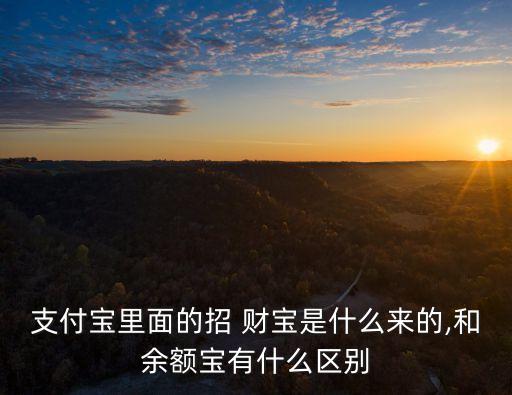 支付寶里面的招 財寶是什么來的,和余額寶有什么區(qū)別